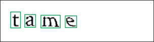 SiaraShield for security captcha